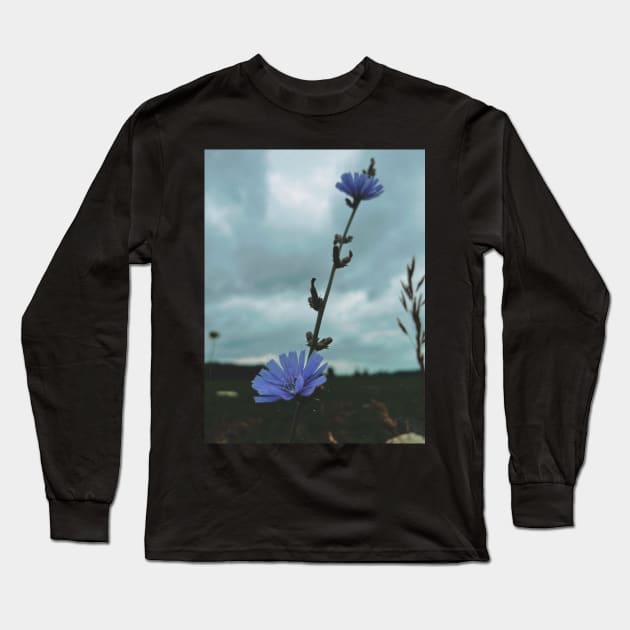 Wildflowers Long Sleeve T-Shirt by hgrasel